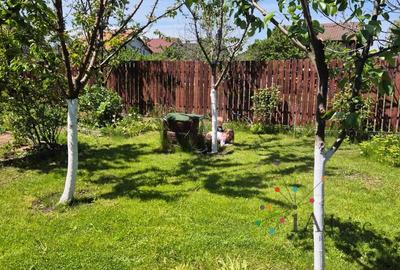 Vanzare Casa Sanpetru - 11