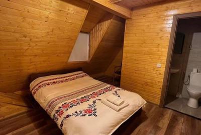 Cabana la Lac Colibita 8 camere, terase si 1650 mp teren - 12