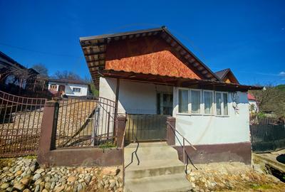 Proprietate compusă din 2 case,3 anexe,teren 3.233 m – Dârmănești, județul Argeș - 2