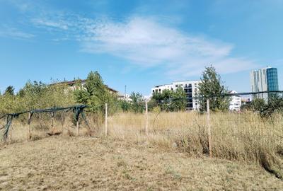 Teren constructii Central - Sala Polivalenta - 2