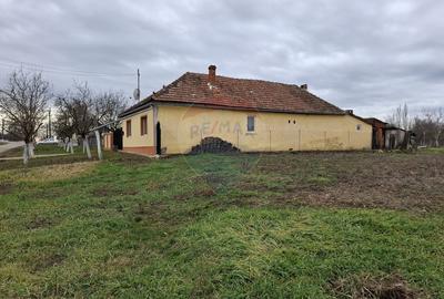 Teren intravilan 1,241mp Frumușeni, Arad - 5