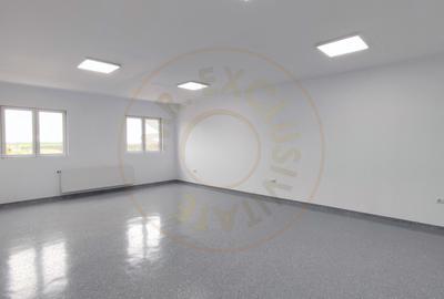 Inchiriere Spatii de Birouri/Productie - Str. Uzinei - Carei - Comision 0% - 4