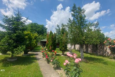 Snagov- Gruiu- Santul Floresti -Proprietate cu stil pentru oameni gospodari! - 42