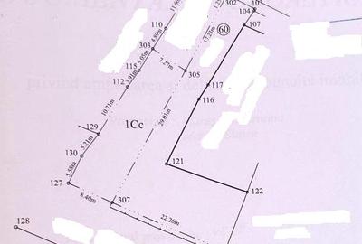 Teren intravilan cu constructii Piatra Neamt, str.D.Leonica, 1230 mp - 1