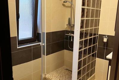 Vanzare 1/2 duplex in Alba Iulia - 7