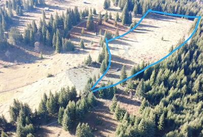 Teren agricol extravilan de 16289 mp, în Coverca