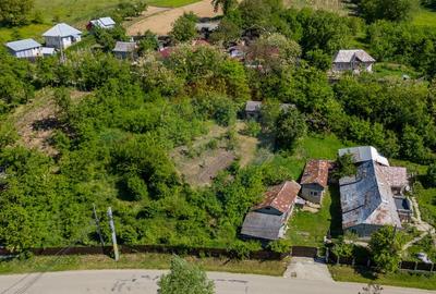 Casă taraneasca de vanzare- PARAVA-BACAU - 5