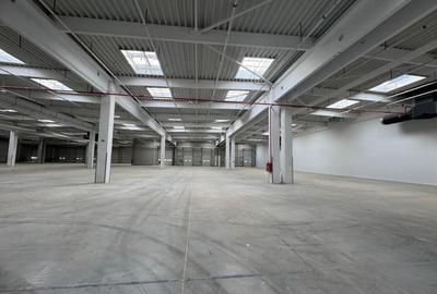 Hală industrială de închiriat Arad ZI West Vecinatate A1, acces TIR - 1