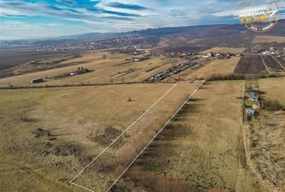Teren agricol extravilan de 5800 mp, în Exterior Est