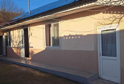 Casa de vanzare in Horga, comuna Epureni - 1