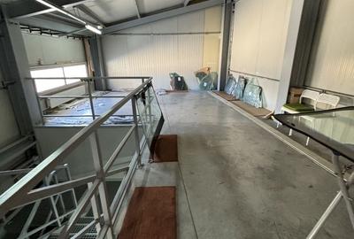 Hală,birourii/depozitare în zona Lugojului - 6