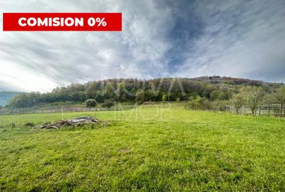 Teren 6642 mp - Sibiel, Str. Gradinarilor - 1