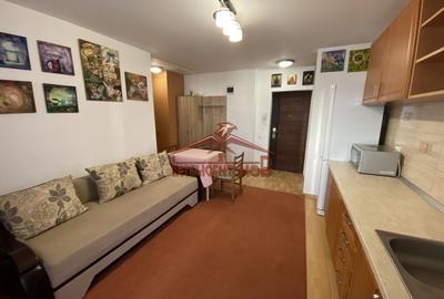 Apartament cu 2 camere decomandat, mobilat în Șelimbăr