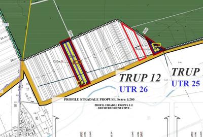 Teren agricol extravilan de 12100 mp, în Moara Vlăsiei