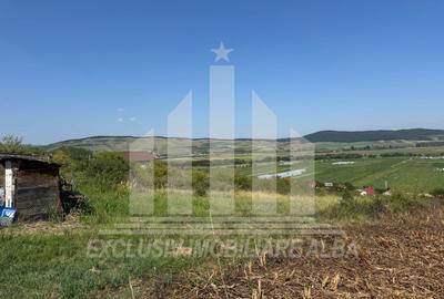 Teren Construcții intravilan de 700 mp, în Micești