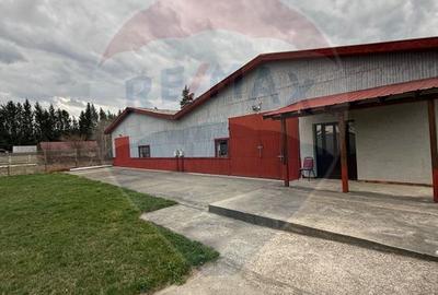 Hală industrială cu birouri si teren Gura Humorului - 15