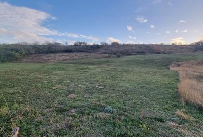 Loc de casa in Agafton - 5