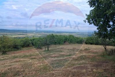 Teren 5,700mp Somcuta Mare / investitie cu potential major - 9