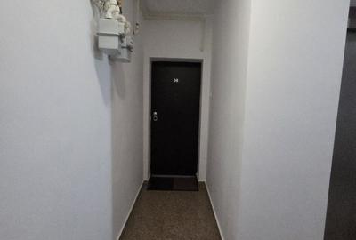 Apartament 2 camere Baneasa cu gradina - 13