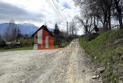 TEREN 2.495 MP | BRAN – SOHODOL | VEDERE PANORAMICĂ SPRE BUCEGI - 11
