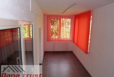 Ideal Salon infrumusetare, Service telefoane, Cabinete - Complexul Strudentesc - 15