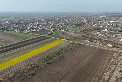 Teren 10.000 mp, parcelabil, ideal ansamblu case P+1 | Gulia - Dambovita - 2