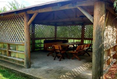 RATE Pensiune 12 cam Superba*** malul Lac Mocearu piscina ,16277mp - 37