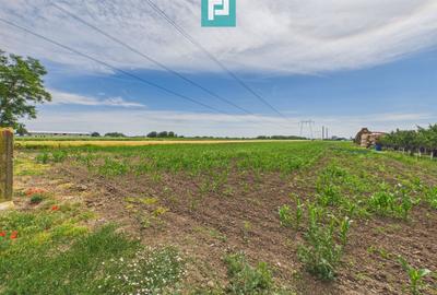 Teren extravilan 5000 mp, Arad - 9