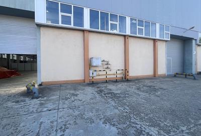 Hală industrială de închiriat – 3.739 mp, pod rulant, acces TIR-Astra - 10