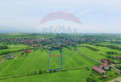 Teren Construcții intravilan de 6956 mp, în Brăișoru
