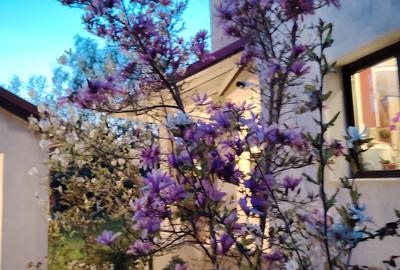 Casa individuala armonioasa -7 camere  -Corbeanca, str. Iepurasului - 33