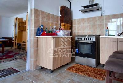 Casa de vanzare in Ineu formata din 2 cladiri - 31