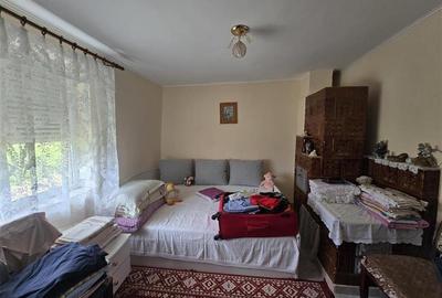 Proprietate de vanzare in Sat Izvoare, com. Bahna, judetul Neamt - 10