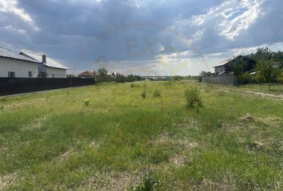 Teren intravilan 3474 mp Bradu-Auchan - 2