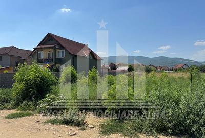 Teren intravilan | 4000 mp | 24.5 ml deschidere | Alba-Micesti - 2