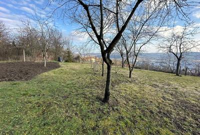 Vand Casa PLATOUL Cornesti str. CORNESTI- teren 1150 mp - 3