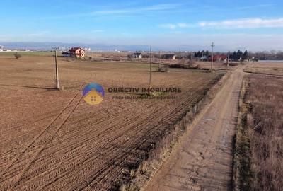 Teren investiție intravilan 3600 mp – Dumbrava Roșie - 6