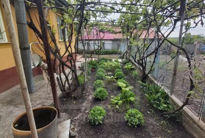 Casa de vanzare, teren 2377mp, Ceanu Mic, judetul Cluj - 30