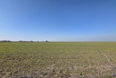 Teren intravilan 500 mp in Corbu, ideal pentru investitie - 4