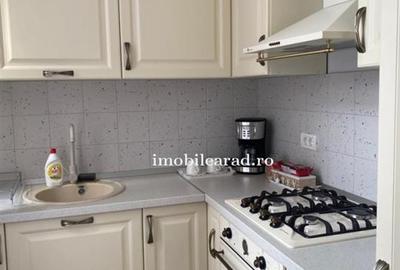 Apartament 60 Euro pe zi, amenajat in stil unic langa Primaria Arad - 14