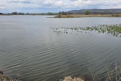 Teren Rotbav  str. Ștefan cel Mare – 3668 mp, intravilan cu deschidere la lac. - 5