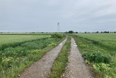 Vand teren intravilan in Sabareni, jud Giurgiu - 1