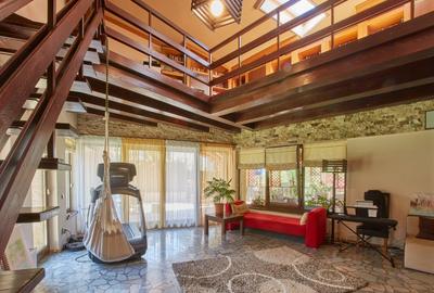 Reprezentare exclusivă · Casa dintre magnolii, Făget · 1.343 mp lângă pădure - 3