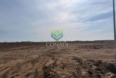 Teren Industrial cu PUD in curs de aprobare | Oxigenului | Cernica - 6