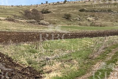 Teren in suprafata de 6300 mp extravilan in Garbau - 6