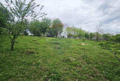 Teren 5,350mp Dobreni / Strada Manastirea Horaita - 5