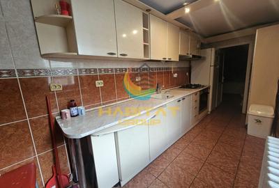 Casa 3 Camere de vanzare Parc Carol, Garaj - 17