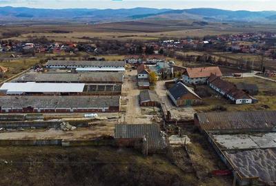 Ansamblu agrozootehnic cu renume,dotat +valoare exceptionala+potential versatil, - 39