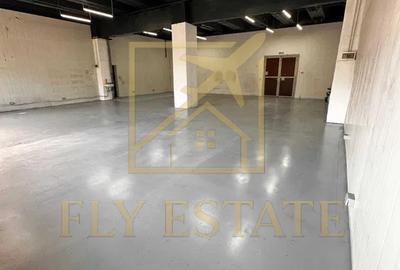 Spatiu Industrial | Pallady - 2