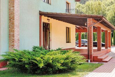 Proprietate Deosebita - Liziera Padurii - 6